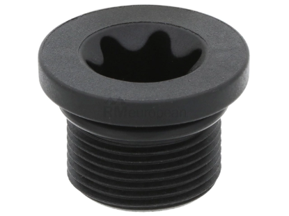 Transmission Fill Plug Genuine BMW/Mini 28005A7A379