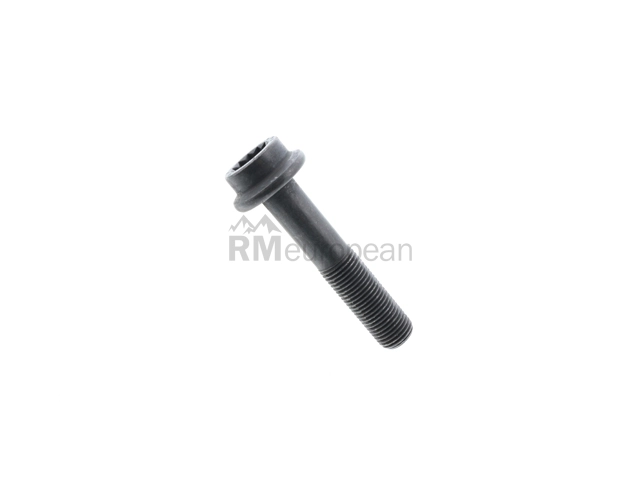 Porsche Camshaft Adjuster Bolt Genuine Porsche N91042802
