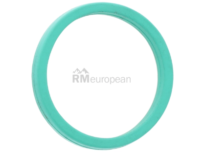 Volvo Engine Oil Pump O-Ring Victor Reinz 8692089
