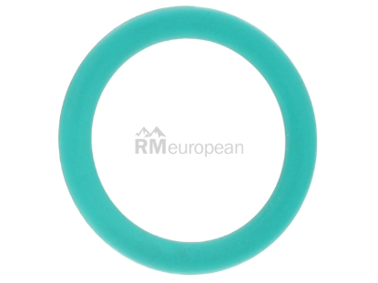 VW-Audi Coolant Pipe O-Ring Genuine VW/Audi WHT000881