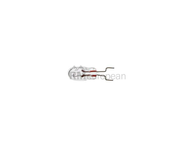 Porsche Bulb Flosser 411