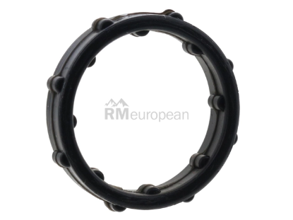 VW-Audi Coolant Pipe O-Ring Victor Reinz 06E121119J