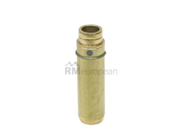 Mercedes Valve Guide Canyon 1020500562
