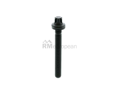 Saab Cylinder Head Bolt Victor Reinz 5955794