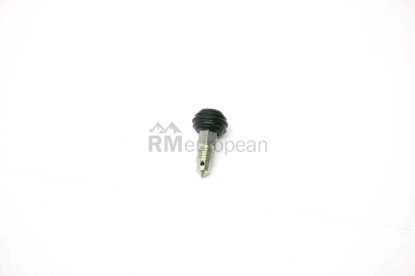 BMW Bleed Valve Screw ATE 34111103232