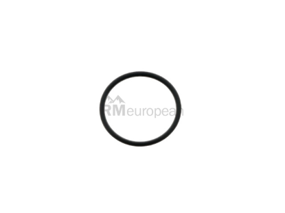 Mercedes O-Ring Bosch 0239971245