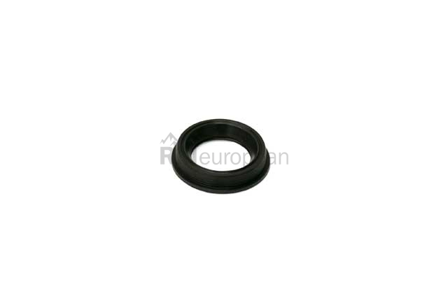 VW-Audi Solenoid Seal Victor Reinz 066109091A