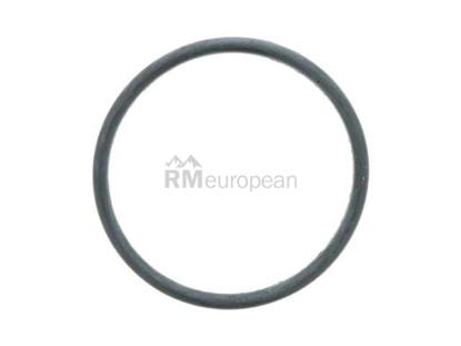 VW-Audi O-Ring AIC Automotive 113919131A