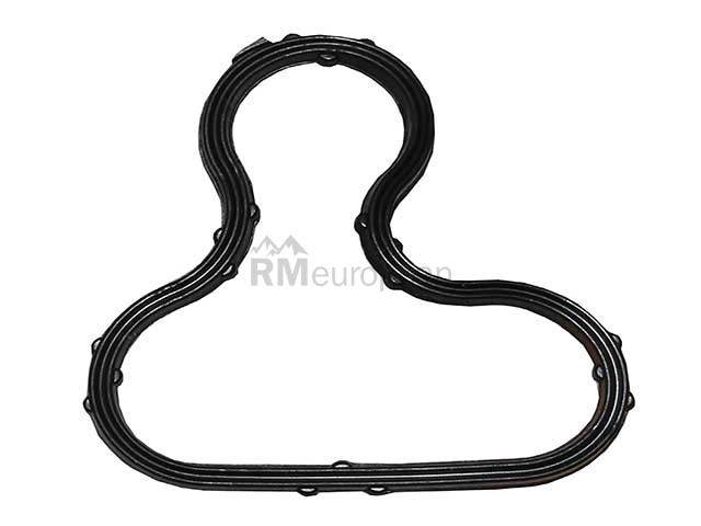 BMW Gasket Ajusa 12317507807