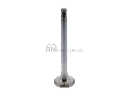 Exhaust Valve TRW 022109612D