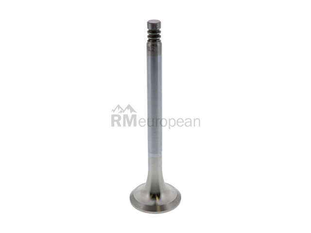Exhaust Valve TRW 022109612D
