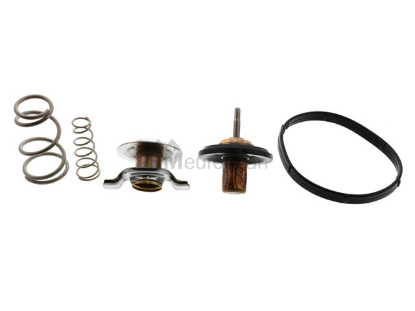 Land Rover Thermostat Rein Automotive LR005765