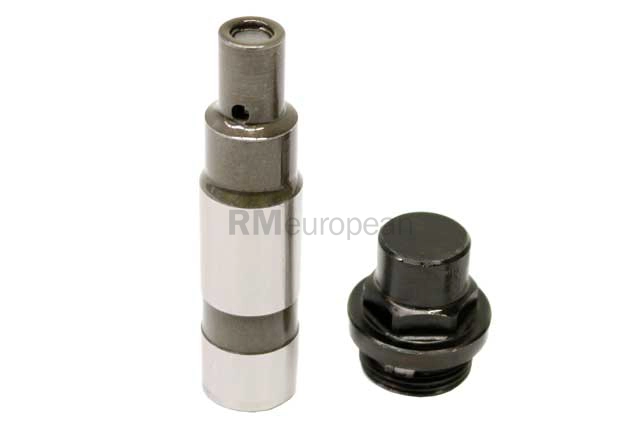 BMW Timing Chain Tensioner INA 11317531813