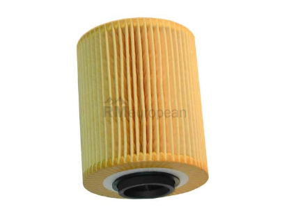 BMW Oil Filter Kit Mann Filter 11421730389
