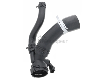 Jaguar Radiator Hose Eurospare C2Z22155