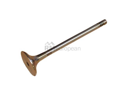 VW-Audi Exhaust Valve CRP Industries 058109611E