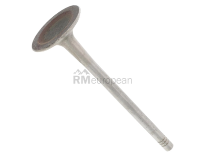 VW-Audi Intake Valve O.E.M. 06E109601Q