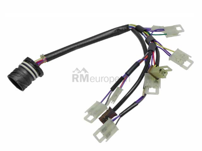 BMW Wiring Harness ZF 24341423873