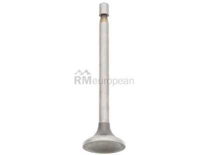 VW-Audi Exhaust Valve Jopex 111109611A
