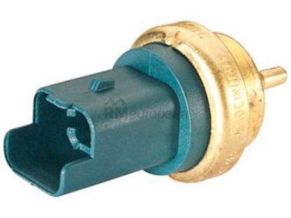 Mini Temperature Sensor Hella 13627535068