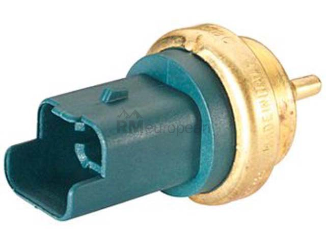 Mini Temperature Sensor Hella 13627535068