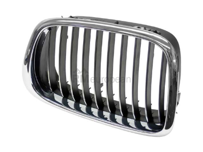 BMW Grille Genuine BMW 51132497261