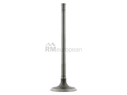BMW Intake Valve febi bilstein 11341438385