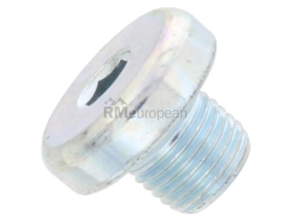 VW-Audi Auto Trans Drain Plug Genuine VW/Audi WHT000310A