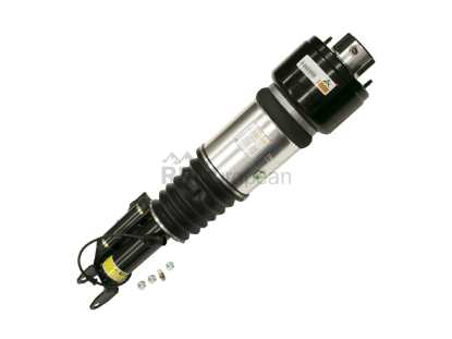 Shock Absorber Arnott Industries AS2786