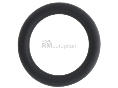 VW-Audi Coolant Pipe O-Ring Genuine VW/Audi N90097001
