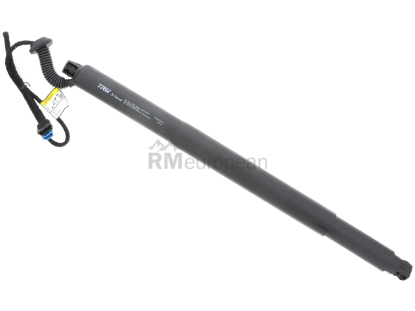 BMW Hatch Shock TRW 51247434043