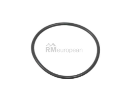 BMW O-Ring Genuine BMW 31511213527