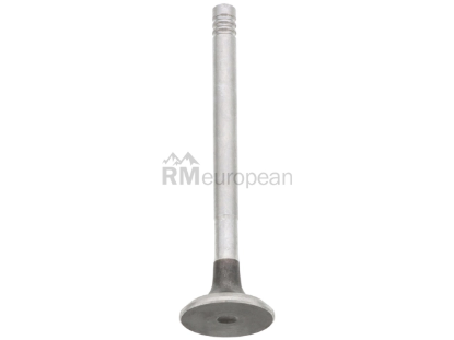 VW-Audi Exhaust Valve Jopex 113109612