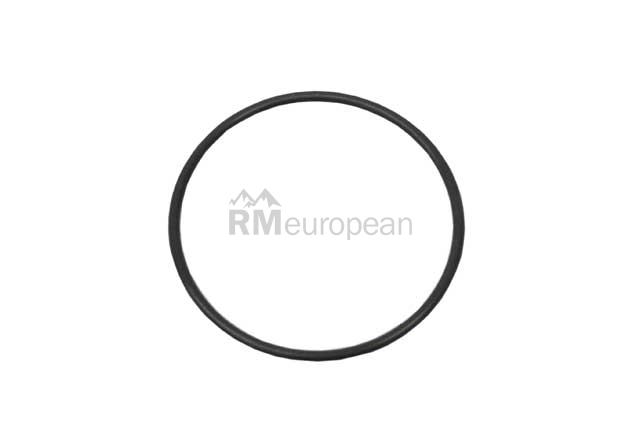 VW-Audi Vacuum Pump O-Ring Victor Reinz 06D145117A