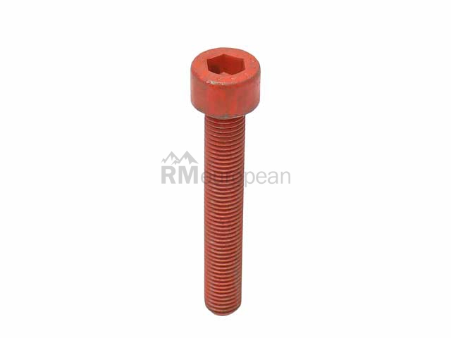 Porsche Brake Caliper Bolt Genuine Porsche 99906704209