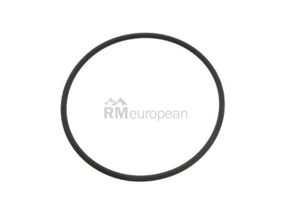 Porsche O-Ring Genuine Porsche 99970742540