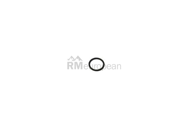 BMW O-Ring Genuine BMW 11121706927