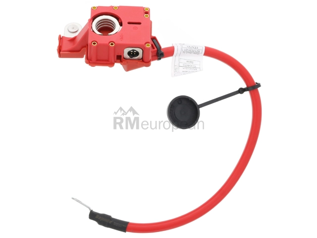 BMW Battery Cable Bapmic 61129217031