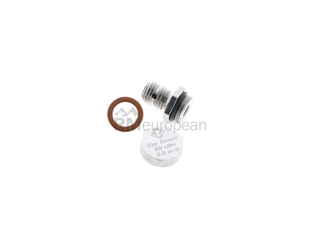 BMW Engine Oil Drain Plug AGA 095560400