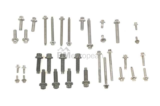 BMW Engine Bolt Kit Genuine BMW 11110411131