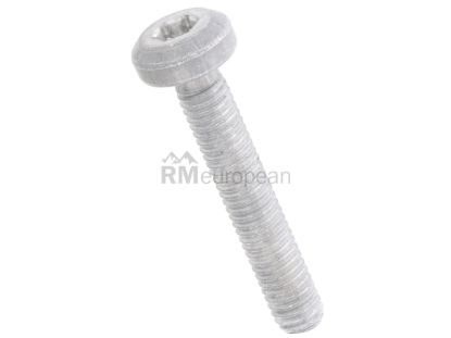VW-Audi Tensioner Bolt Genuine VW/Audi N10765401
