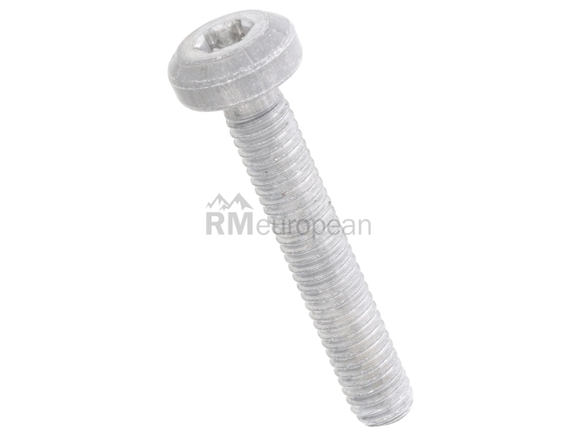 VW-Audi Tensioner Bolt Genuine VW/Audi N10765401
