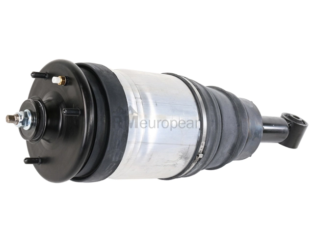 Land Rover Shock Absorber BWI LR038096