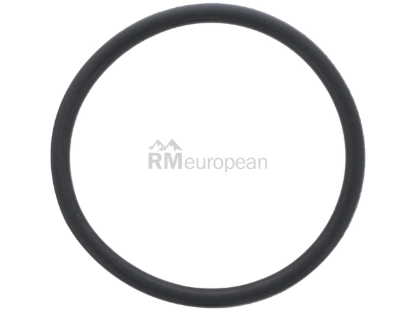 VW-Audi Drain Plug Seal ZF 01V321379