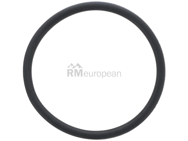 VW-Audi Drain Plug Seal ZF 01V321379