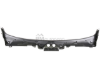 BMW Windshield Cowl Cover Genuine BMW 51717258177