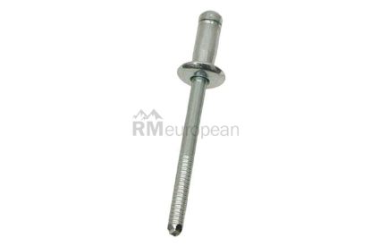 Volvo Rivet Genuine Volvo 30640780
