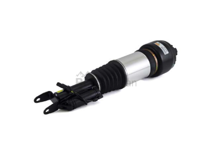 Shock Absorber Arnott Industries AS2300
