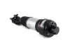 Shock Absorber Arnott Industries AS2300