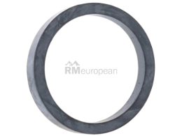 Dodge Timing Cover Seal Ajusa 05098920AA